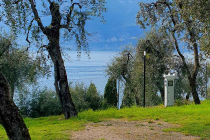 camping-gardasee-brenzone-sul-garda-le-maior-stelplatz-2402