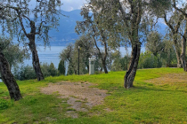 camping-gardasee-brenzone-sul-garda-le-maior-stelplatz-2409