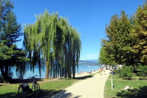 ciclovia-lazise-lago-di-garda