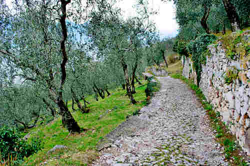 mulattiera-alla-contrada-campo-di-brenzone-500