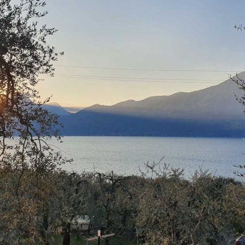 mobilhaus-camping-gardasee-lemaior-Dafne2-20